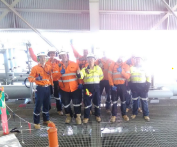Commissioning team celebrating at the operating power plant